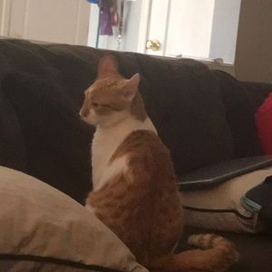 Meet your Posher, Anna claire